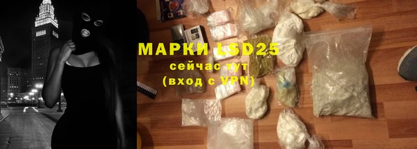 ГАЛЛЮЦИНОГЕННЫЕ ГРИБЫ Михайлов