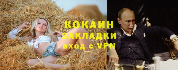 ГАЛЛЮЦИНОГЕННЫЕ ГРИБЫ Михайлов