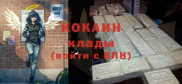 ГАЛЛЮЦИНОГЕННЫЕ ГРИБЫ Михайлов