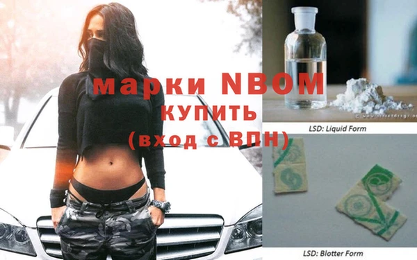 ГАЛЛЮЦИНОГЕННЫЕ ГРИБЫ Михайлов