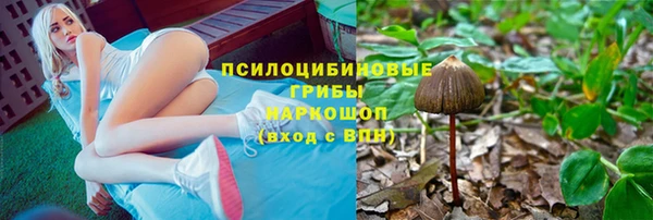 ГАЛЛЮЦИНОГЕННЫЕ ГРИБЫ Михайлов