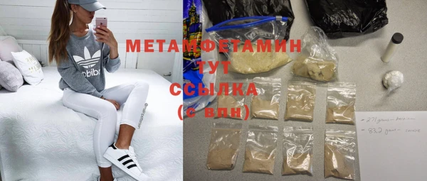 ГАЛЛЮЦИНОГЕННЫЕ ГРИБЫ Михайлов