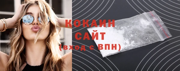 ГАЛЛЮЦИНОГЕННЫЕ ГРИБЫ Михайлов